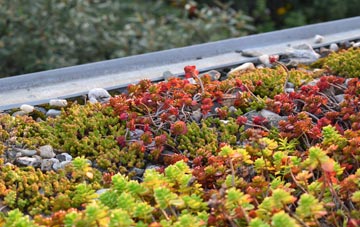 the cost of Sudbrook green roof installation
