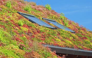 Sudbrook living roof systems