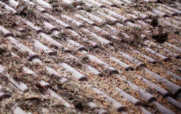 Sudbrook roof cleaning companies