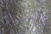 Sudbrook fibreglass roof work