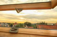 rated Sudbrook roof window companies